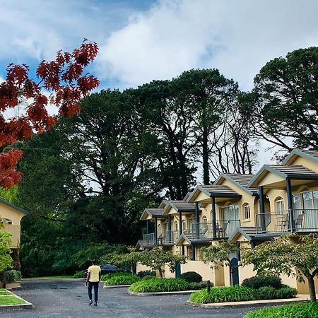 וונטוורט פאלס Falls Mountain Retreat Blue Mountains מראה חיצוני תמונה