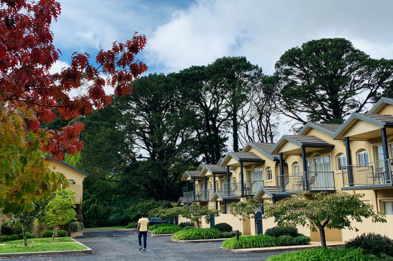 וונטוורט פאלס Falls Mountain Retreat Blue Mountains מראה חיצוני תמונה
